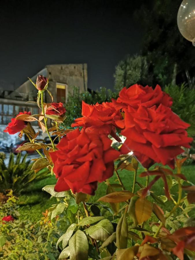 L'Angolo Di Campagna Piano di Sorrento Exterior photo